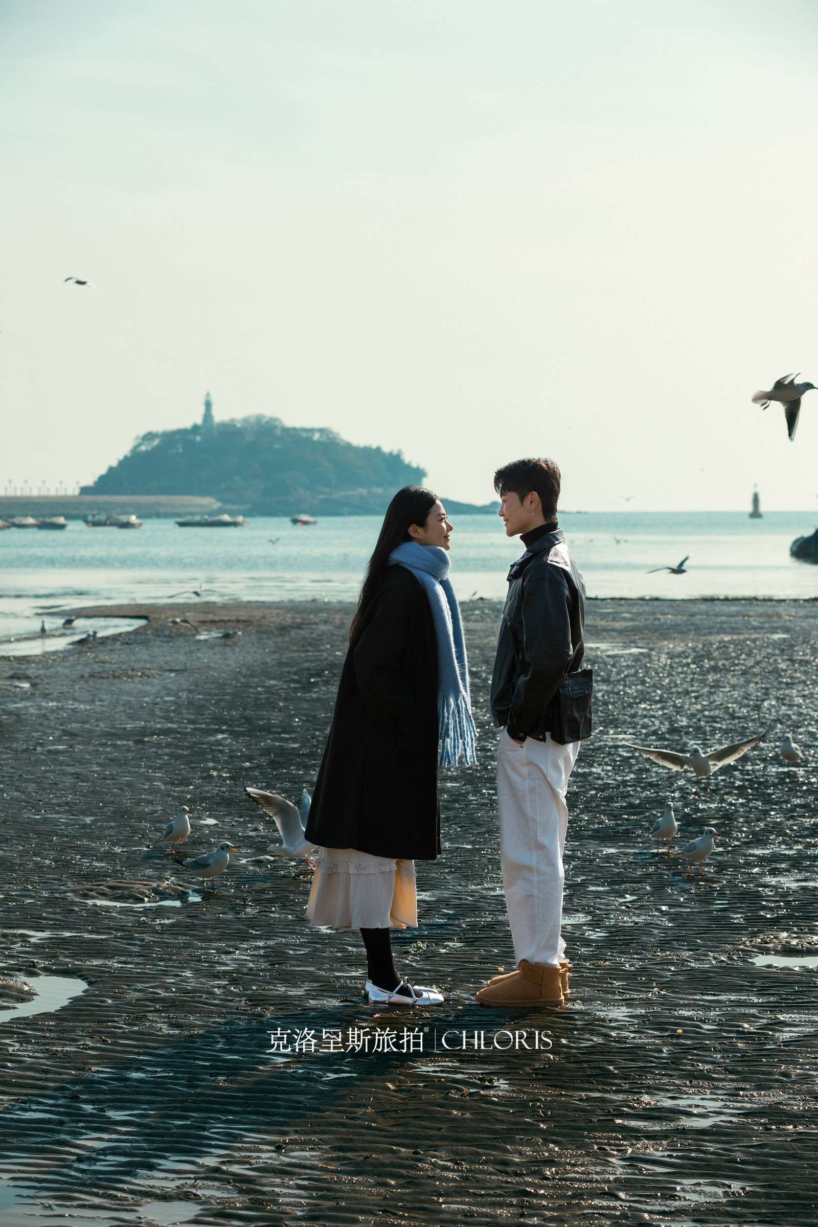 冬季-海鸥婚纱照3